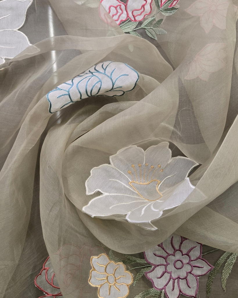 Organza with applique work - Light Beige