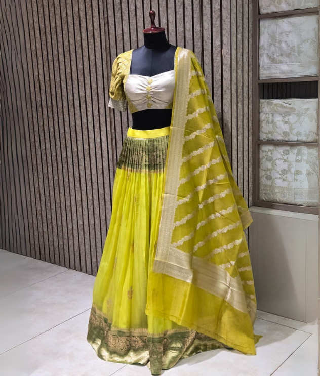 Organza Lehenga with Banarasi Border & Dupatta, Chikankari Blouse