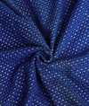 Chikankari Blue